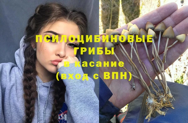 кристаллы Белокуриха