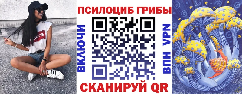 как найти наркотики  OMG зеркало  Псилоцибиновые грибы Cubensis  Дигора 